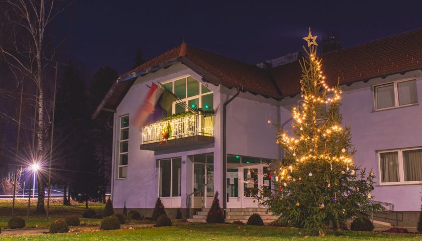 Udendørs Julelys til Haven